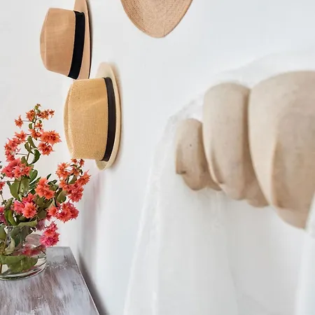 Willa Sun Drop I With Private Pool Paros Drios