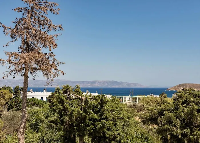 Вилла Sun Drop I With Private Pool Paros