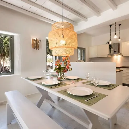 Sun Drop I With Private Pool Paros Villa Drios